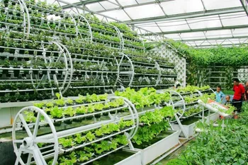 Modern Greenhouse Aquaponics Growing System - Buy 