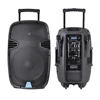 Accuracy Pro Audio PML15AMFQ-V2BP-BT 15 Inch Recharged Wireless Amplifier Microphone Speaker