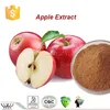 free sample apple extract powder HACCP KOSHER FDA factory natural 98% phloridzin 80% polyphenol apple extract