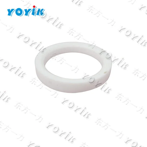 OEM China Power Plant Parts G22-0.8 Sealing Ring for Feed Pump Switching Valve