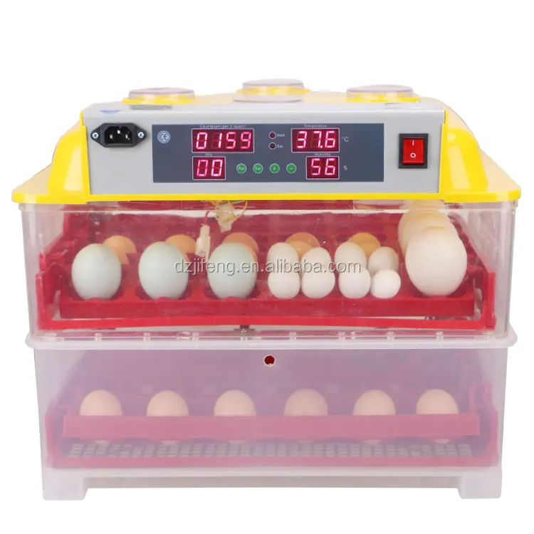 Куплю яйца кур для инкубатора. Инкубатор Weiqian. Инкубатор для яиц 112шт. Автоматический китайский инкубатор на 64 яйца. Инкубатор для яиц автоматический гусиные яйца.