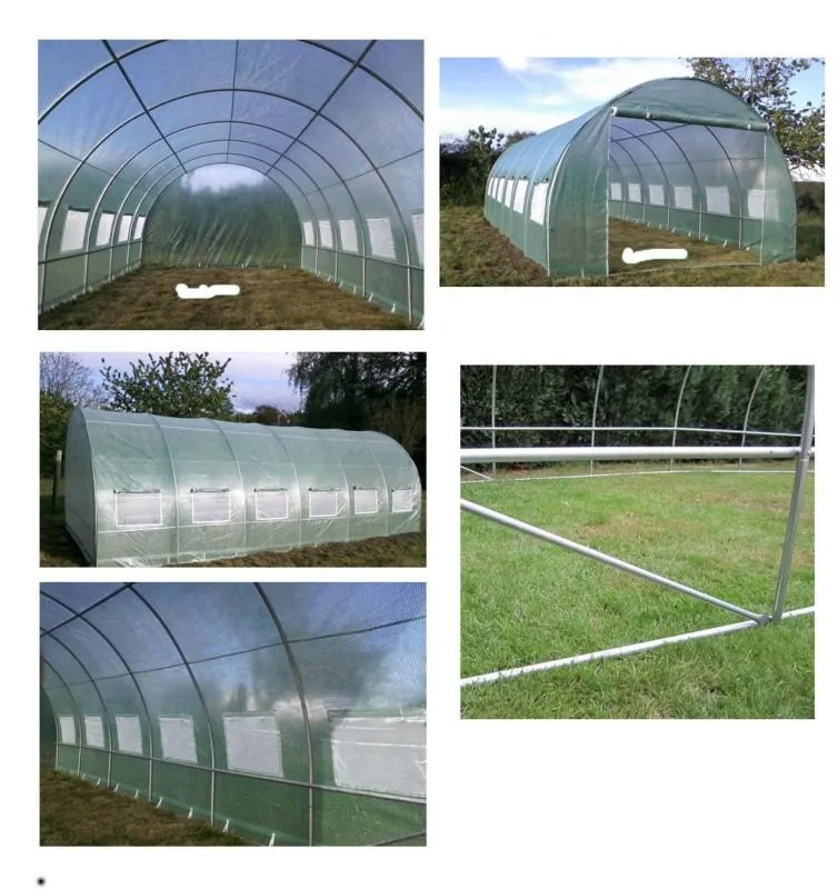 big greenhouse.jpg