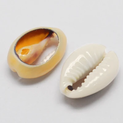 

PandaHall Cowrie Shell Beads Oval Bisque Beads Spiral Shell Beads