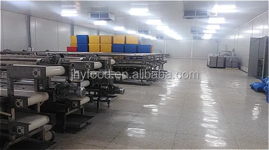 
Good Sale Frozen Oil Clams / Cooked Clam Meat Indonesia Seafood 