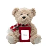 Hot Sale brown stuffed bear frame graduation plush toy Christmas photo teddy bear gifts