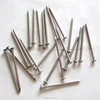 China supplier common nail factory/high quality cheap price common nail polished/common wire nail for construction