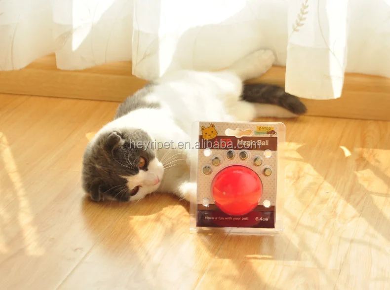 electronic cat ball