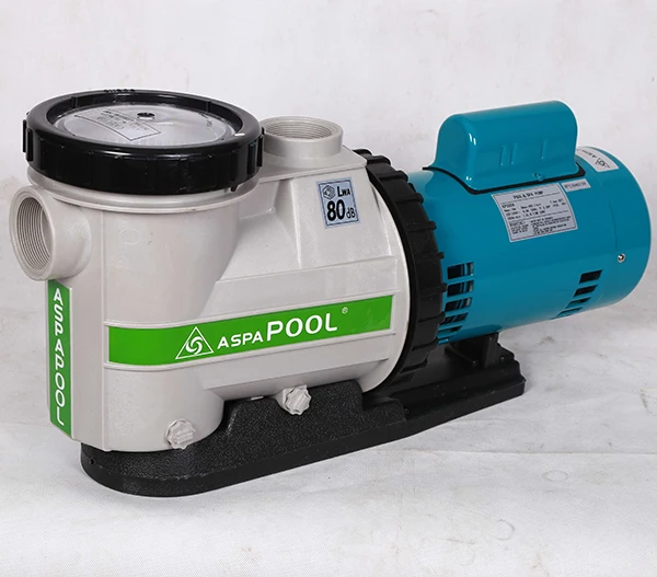 Swimming Pool Pump 220 V Variable Speed Endless Pool Plaster Pump For