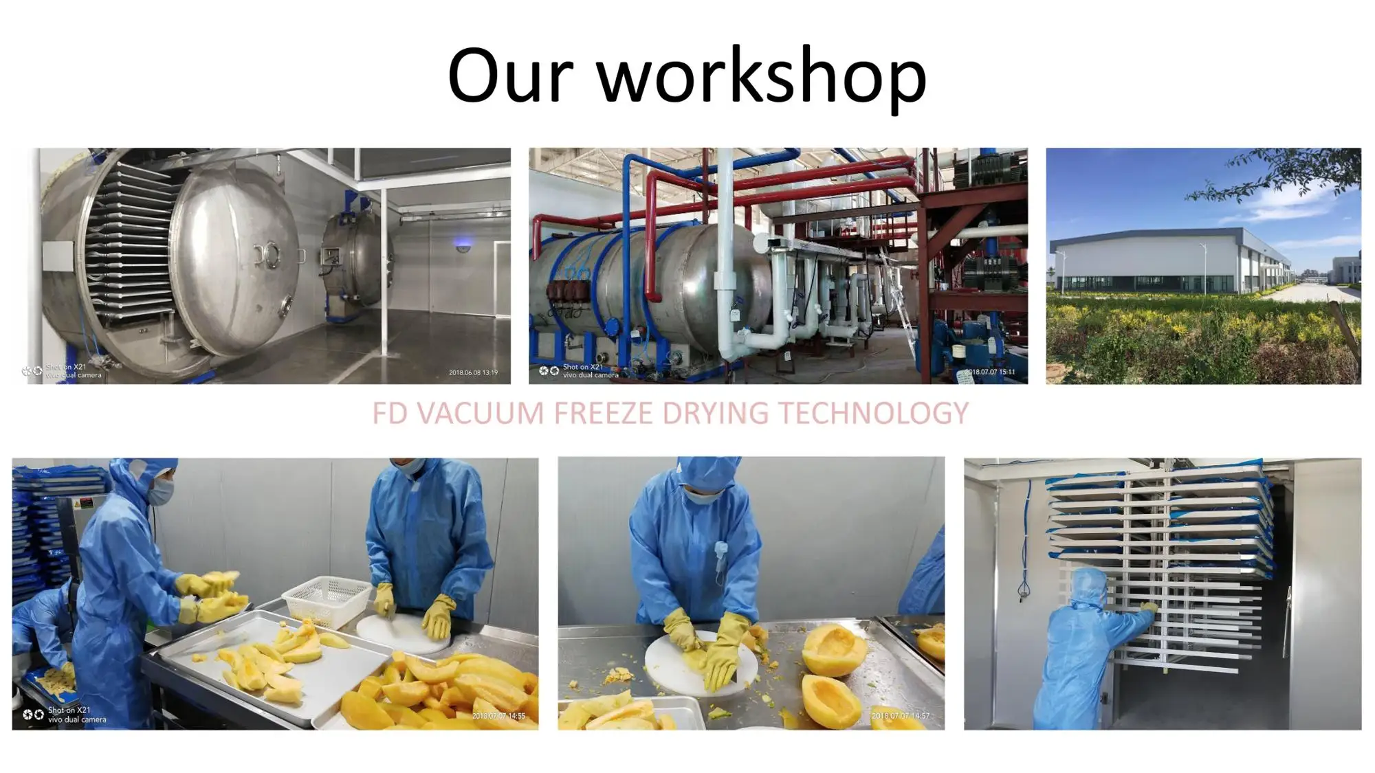 fat free crispy dry fruit chips snacks peach crisps healthy bulk