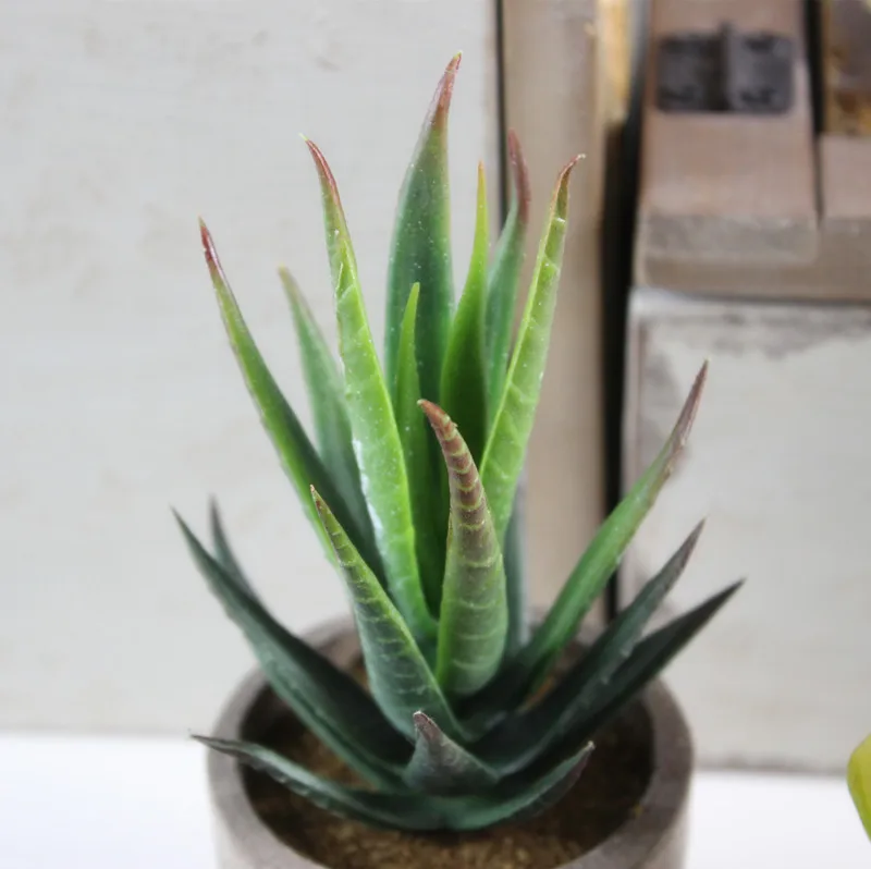artificial succulent (7).jpg