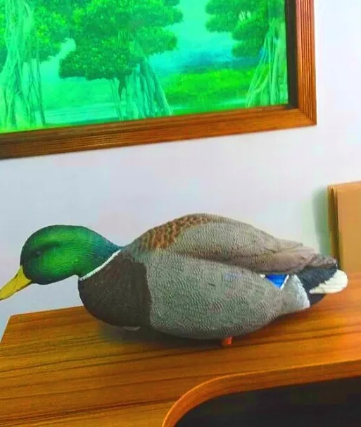 Wholesale Snow Goose Hunting Decoys - Buy Wholesale Chinese Snow Goose