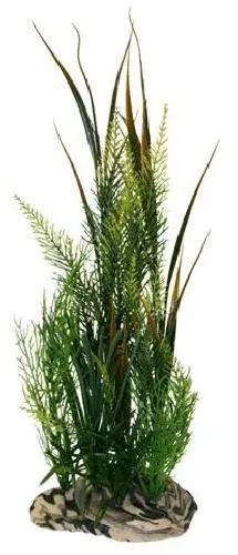 Rock Garden 15 Natural Green Plant with Decorative Resin Base Rock Garden 15 Natural Green Plant with Decorative Resin Base