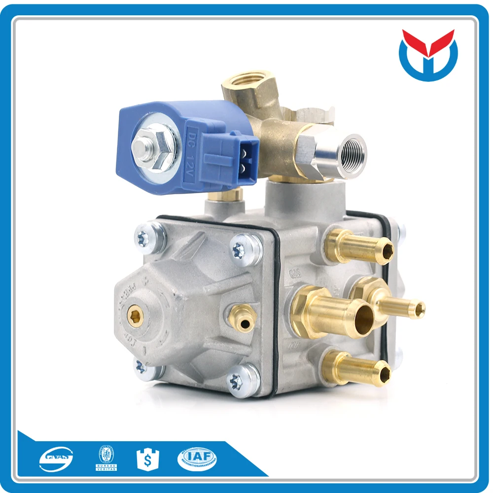 cng reducer regulator (1)