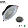 20W/30W Indoor mall commercial led spot light cob Ceilinglights