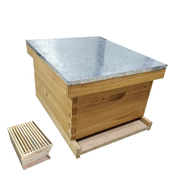 Venta al por mayor cajas para abejas online los