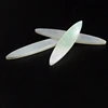 Marquise shape double flat white sea shell