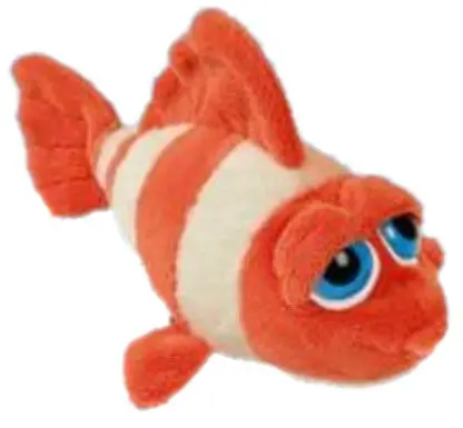 fish teddy