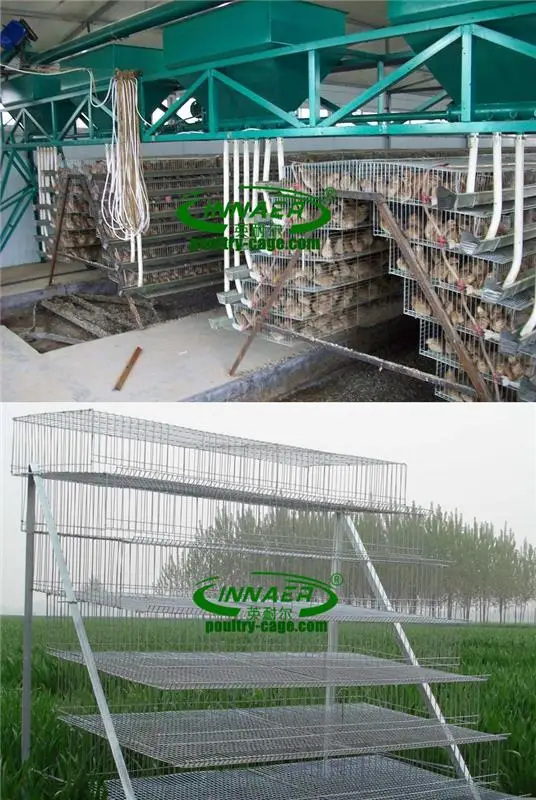 Metal Quail Cages For Laying Hens - Buy Metal Quail Cages For Laying