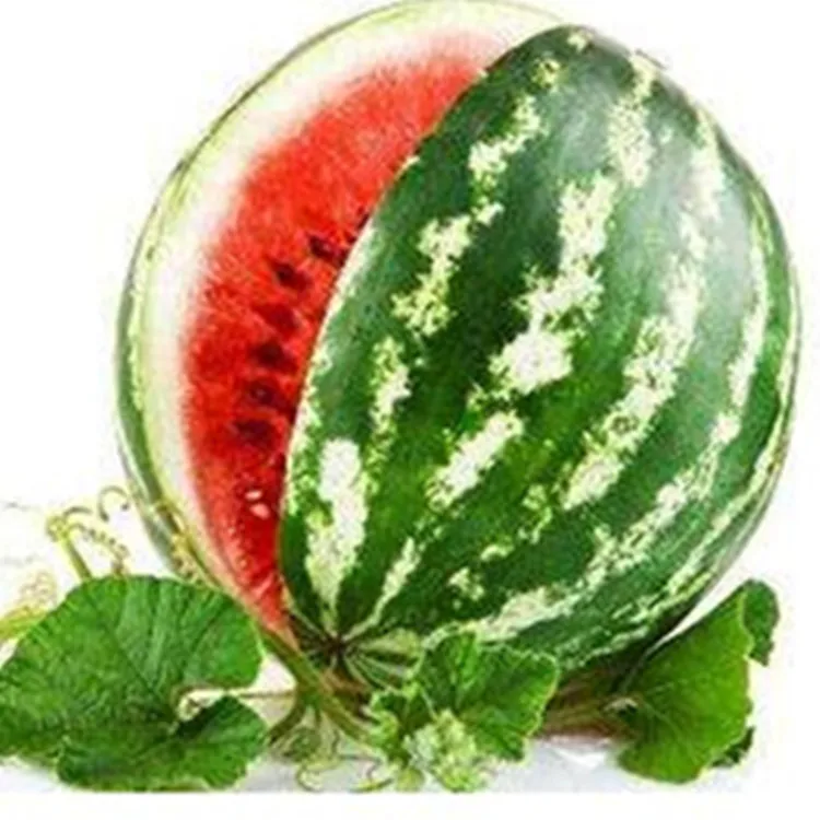 Top Quality Clear Heat Antipyretic Watermelon Peel Extract Powder L