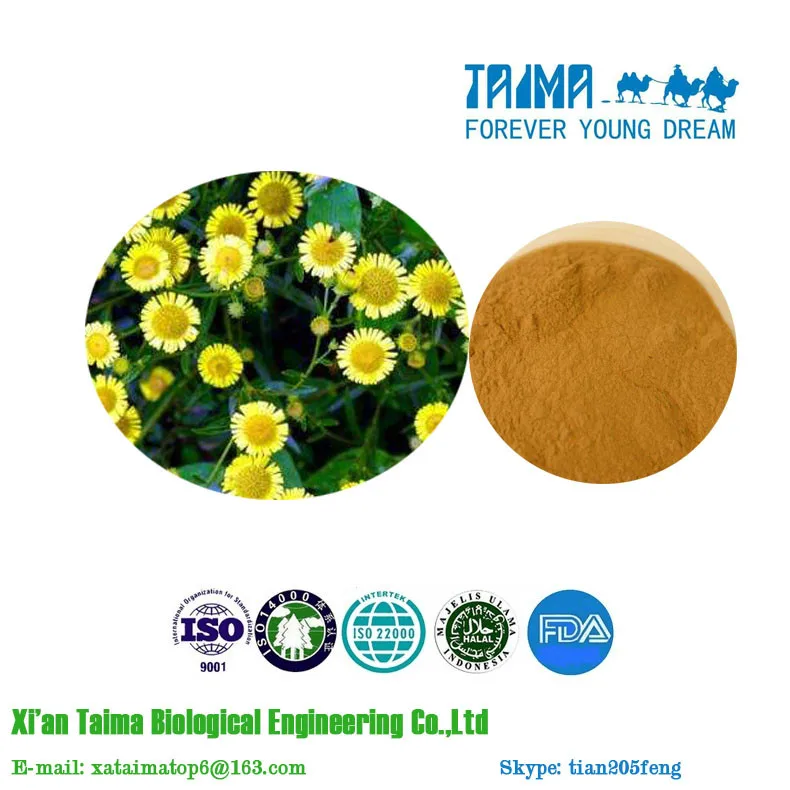 Chrysanthemum Extract Powder 51 Buy Indicis Extract,Indicis Extract