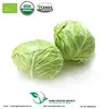 Dehydrated Organic cabbage flakes /dried cabbage powder