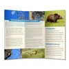 wholesale Custom product catalog instruction manual