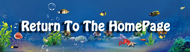 Return To The HomePage