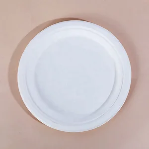 Image of Biodegradable eco friendly one time sugarcane bagasse paper compostable plate