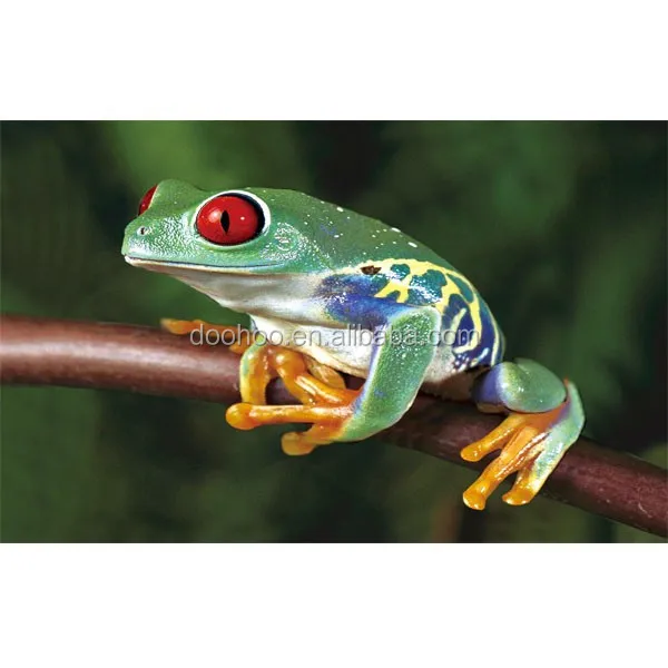 
2015 new product 3d cards reality chameleon 3d cards 3d lenticular cards 