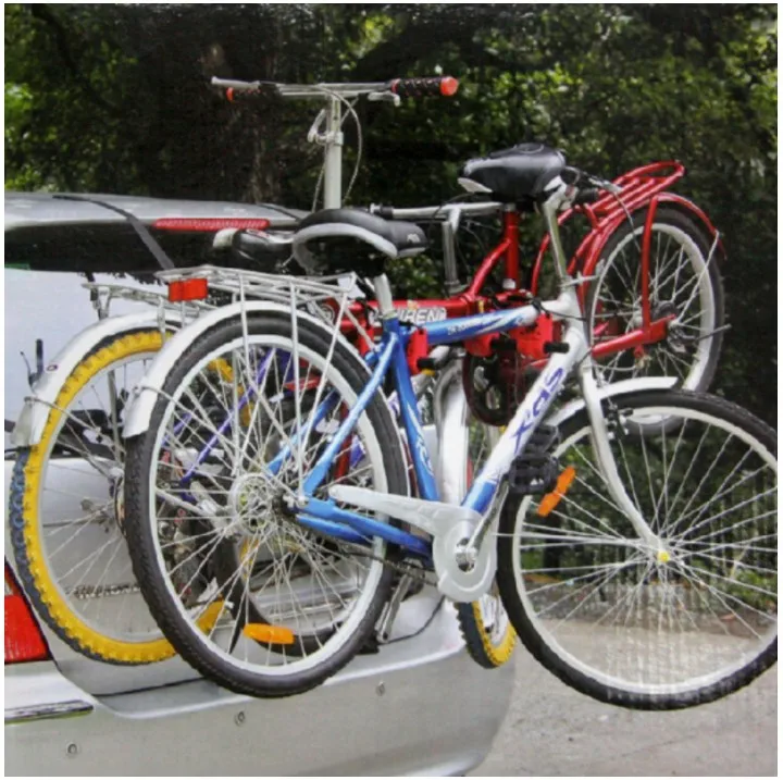 bike carrier mount