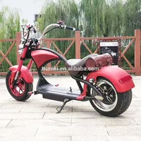 

Cheap Adult Electric Bike Fat Tire Electric Scooter