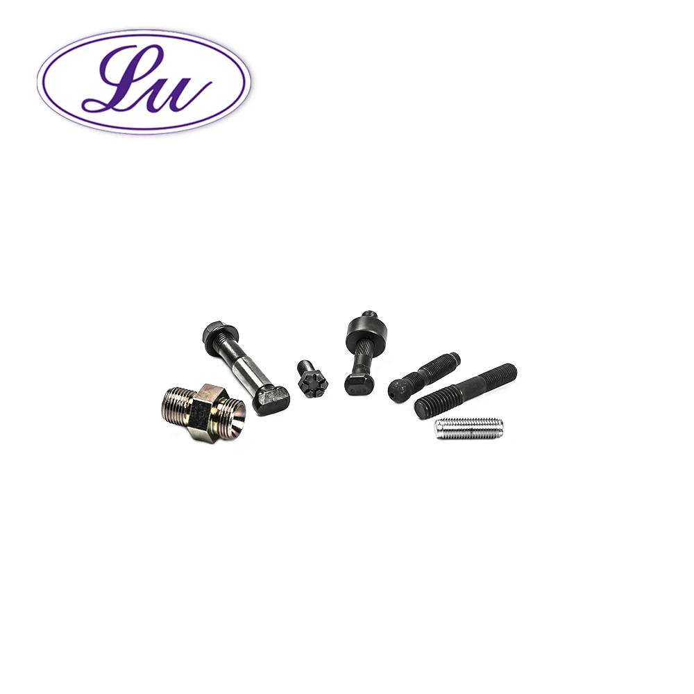 We Can do anything special head screw adjustable screw lag screw