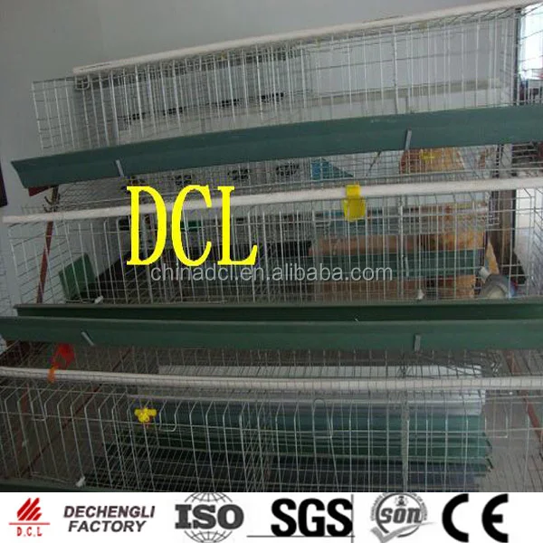 
egg laying chicken coop 