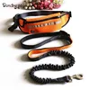 China pet supply Top rated outdoor polyester traction running retractable dog leash