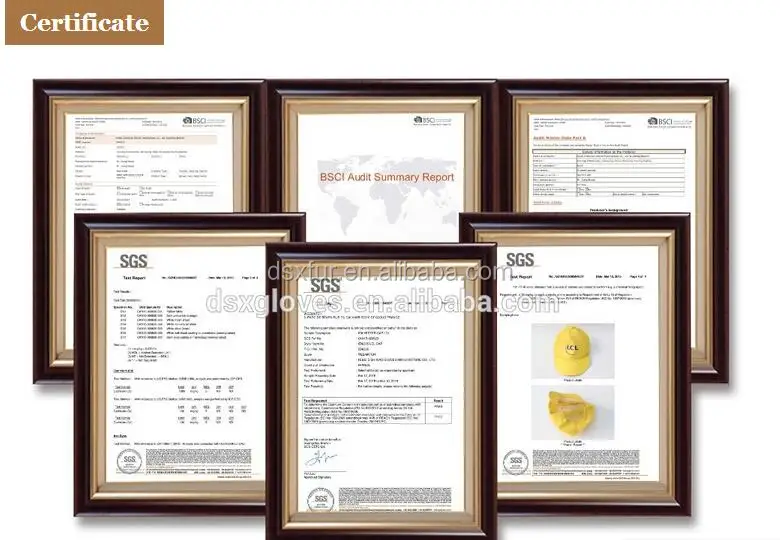 certification.jpg
