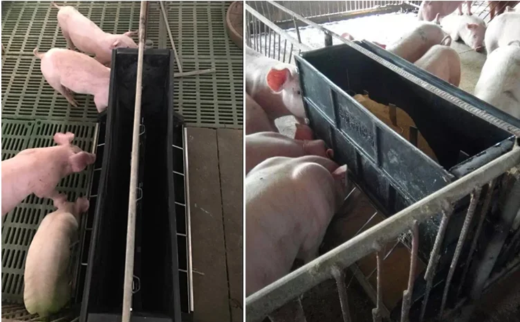 China Made Plastic Double-Side Automatic Pig Feeding Trough Hog Feeders for Farming Equipment