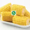 IQF Frozen Sweet Yellow Corn Cut