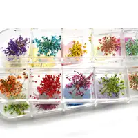 

New Hot Sale 24Pcs 12 Colors 3D Decoration Real Dry Dried Flower for Gel Nail Art Tips