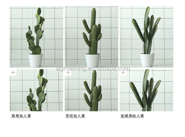 SG-17013P-11.png