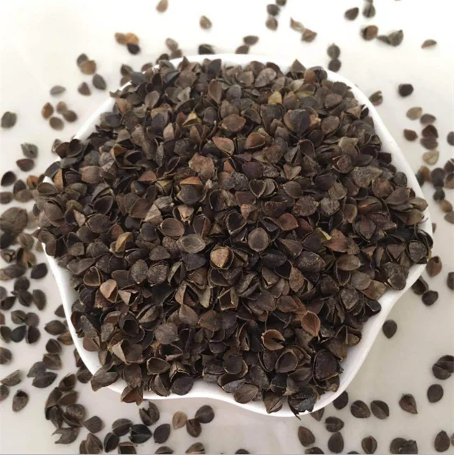 buckwheat husk filling