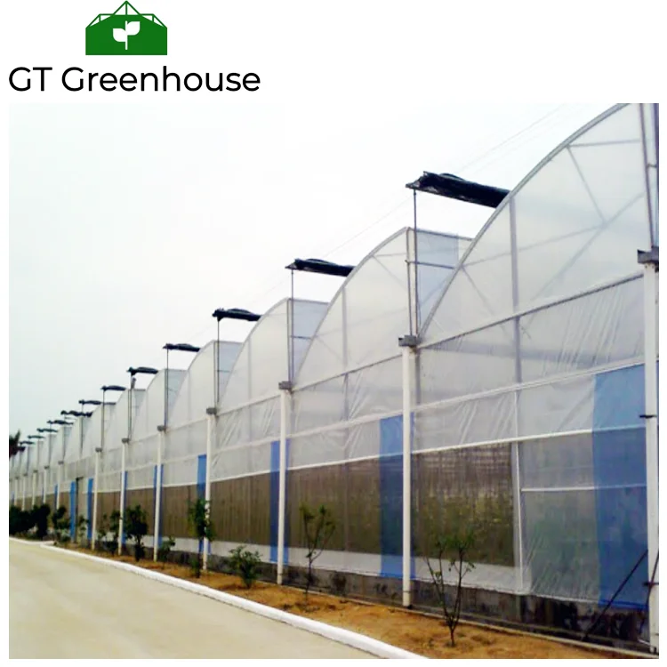 china greenhouse.png