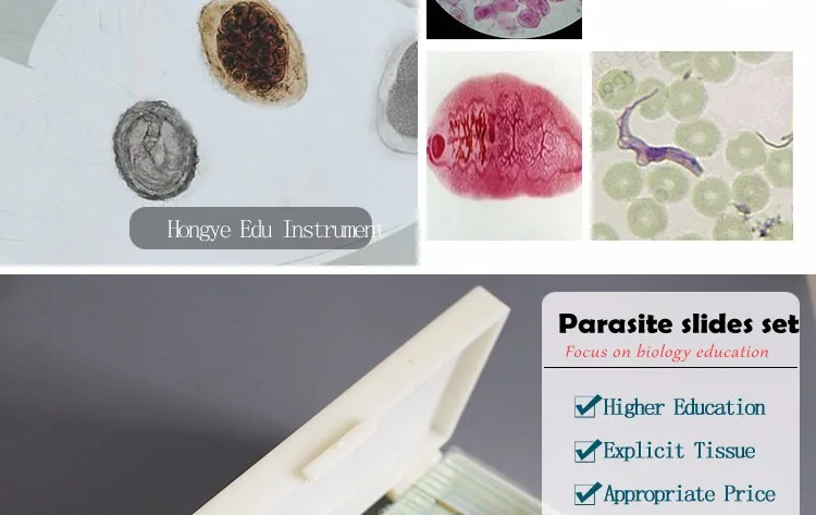 For University Medical Teaching 42pcs Parasitology Slides Set For ...