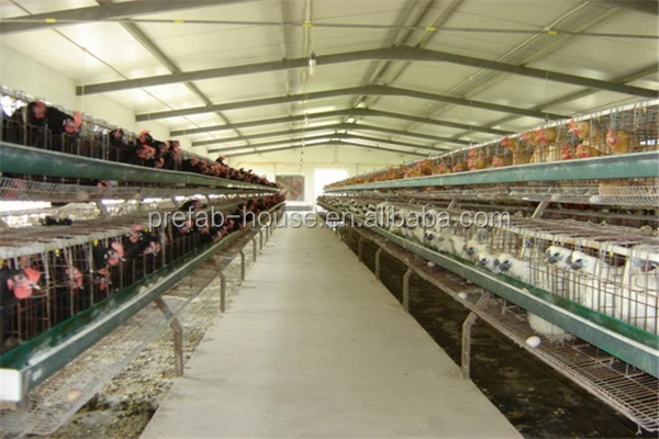 Latest broiler farm layout shipped to business for poultry farm