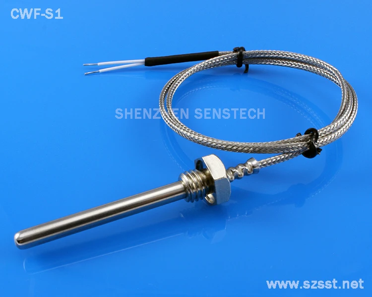 stainless steel PT100 sensor.jpg