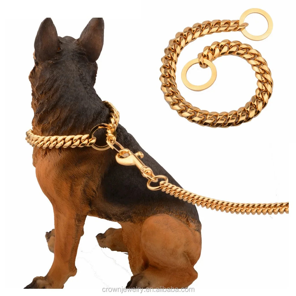 large dog accessories