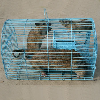 live rat traps