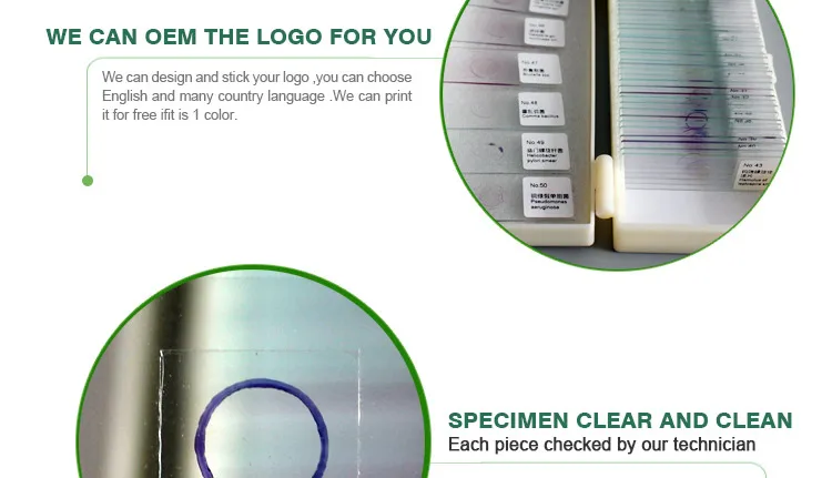 008 Microorganism cells prepared microscope slides.jpg