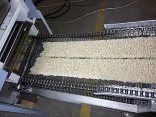 Instant Noodles Manufacturing Plant