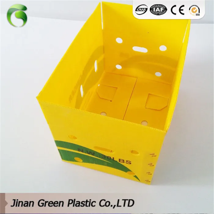 2019 Green Brand Lettuce Boxes Buy Lettuce Boxes,Lettuce Box,Lettuce