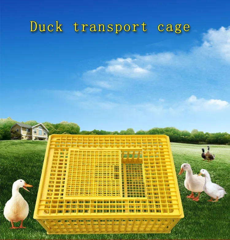 Wholesale Chicken Crates Plastic Poultry / Duck Transport Box With